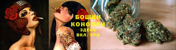 ПСИЛОЦИБИНОВЫЕ ГРИБЫ Алзамай