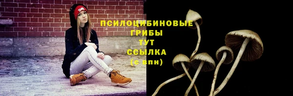 ПСИЛОЦИБИНОВЫЕ ГРИБЫ Алзамай