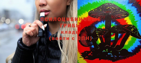 ПСИЛОЦИБИНОВЫЕ ГРИБЫ Алзамай