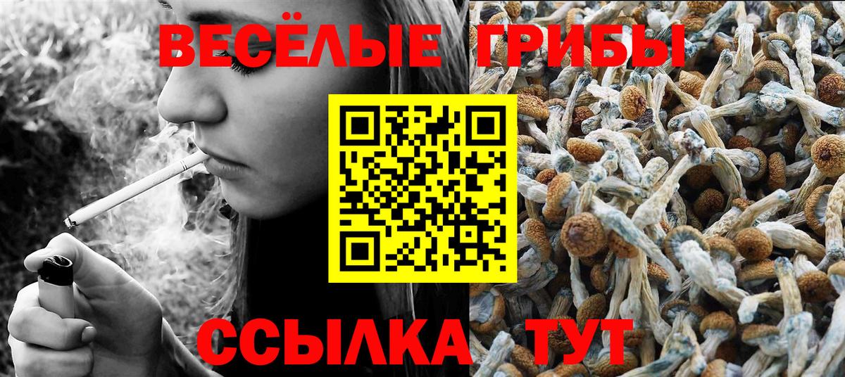 Галлюциногенные грибы Psilocybe Аргун